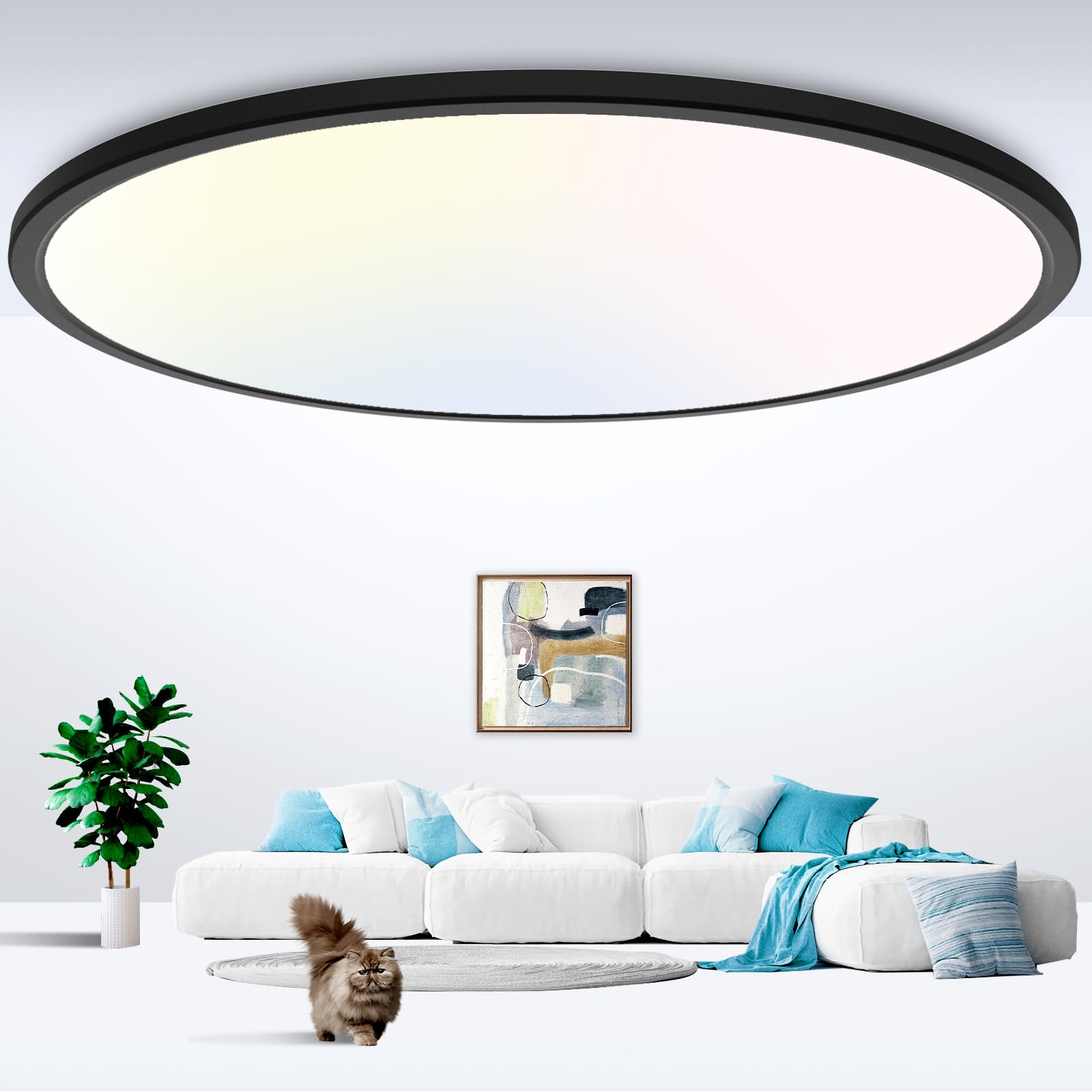 Round Ceiling Light