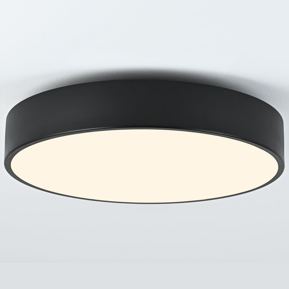 Modern Black Flush Mount Ceiling Light, 2-Lights Round Ceiling Light, Minimalistic Ceiling Lamp Acrylic Shade Lighting Fixture for Bedroom Laundry Room Bathroom Hallway(11.8 Inch)