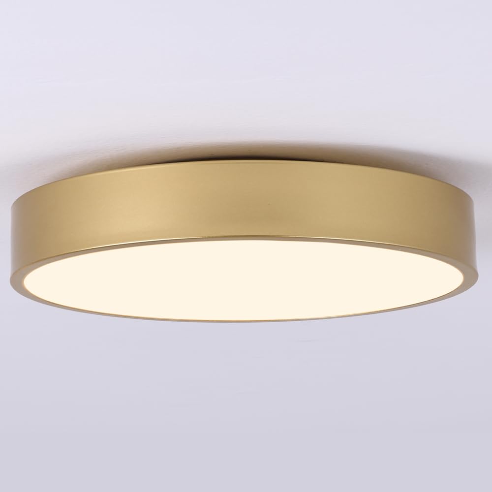 Modern Black Flush Mount Ceiling Light, 2-Lights Round Ceiling Light, Minimalistic Ceiling Lamp Acrylic Shade Lighting Fixture for Bedroom Laundry Room Bathroom Hallway(11.8 Inch)