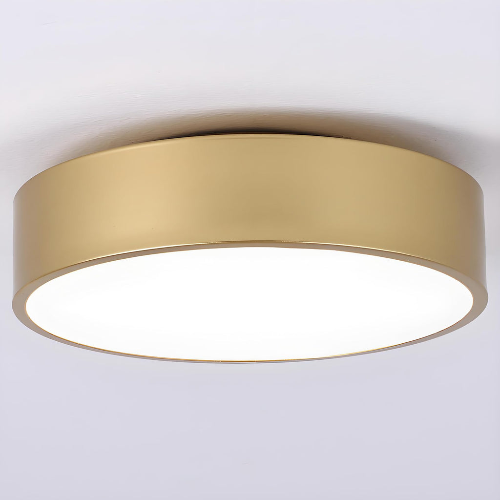 Modern Black Flush Mount Ceiling Light, 2-Lights Round Ceiling Light, Minimalistic Ceiling Lamp Acrylic Shade Lighting Fixture for Bedroom Laundry Room Bathroom Hallway(11.8 Inch)