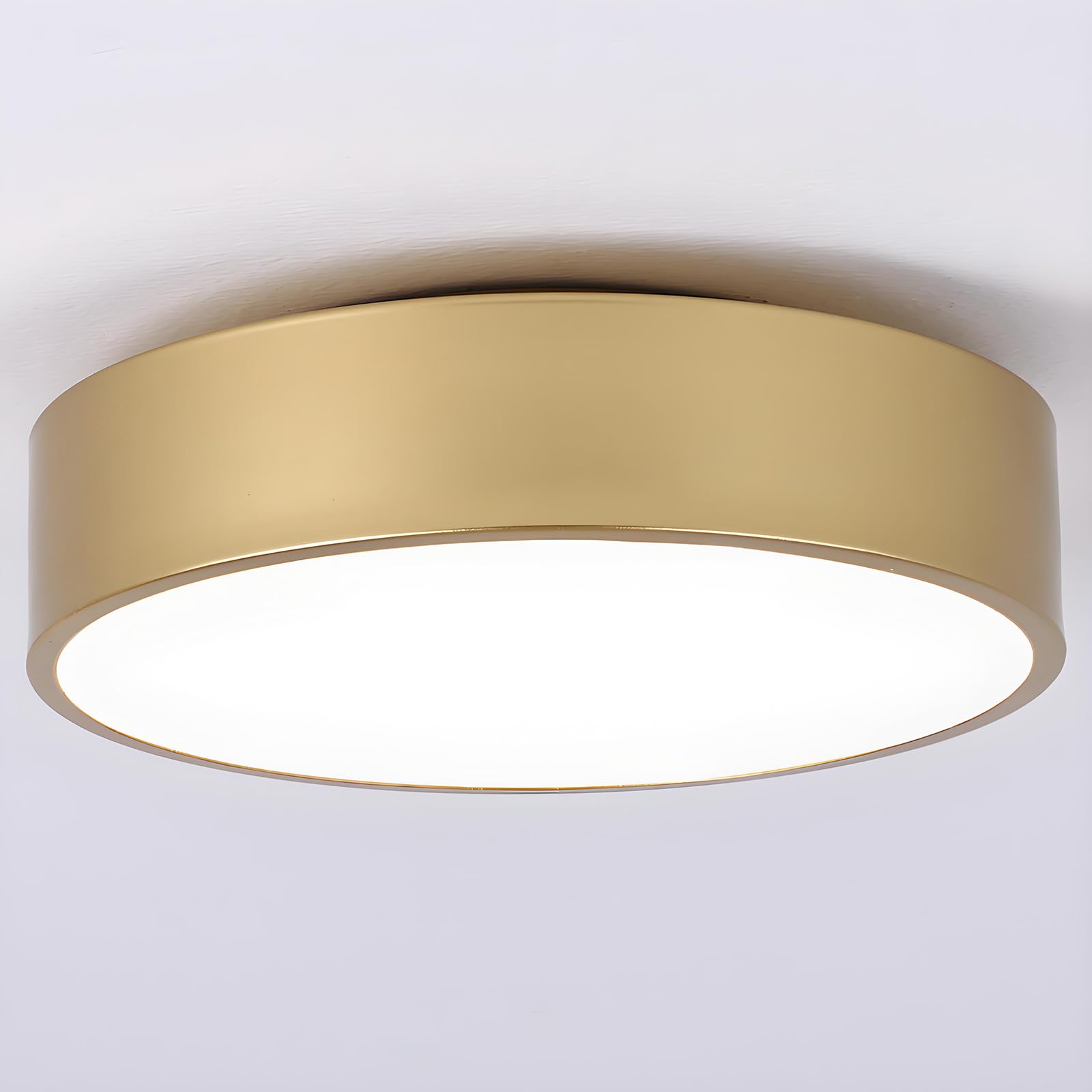 Modern Black Flush Mount Ceiling Light, 2-Lights Round Ceiling Light, Minimalistic Ceiling Lamp Acrylic Shade Lighting Fixture for Bedroom Laundry Room Bathroom Hallway(11.8 Inch)