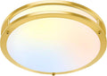 36W LED Ceiling Lights 3600lm Super Bright, Dimmable Flush Mount Light Fixtures 6500K/5000K/4000K/3000K/2700K Adjusted Modern Ceiling Lights 2PACK, 13 Inch Ceiling Lamps for Bedroom Kitchen, Nickle