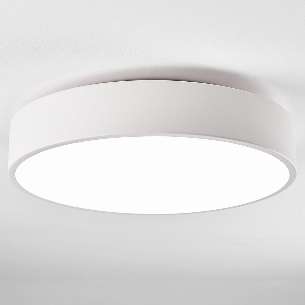 Modern Black Flush Mount Ceiling Light, 2-Lights Round Ceiling Light, Minimalistic Ceiling Lamp Acrylic Shade Lighting Fixture for Bedroom Laundry Room Bathroom Hallway(11.8 Inch)