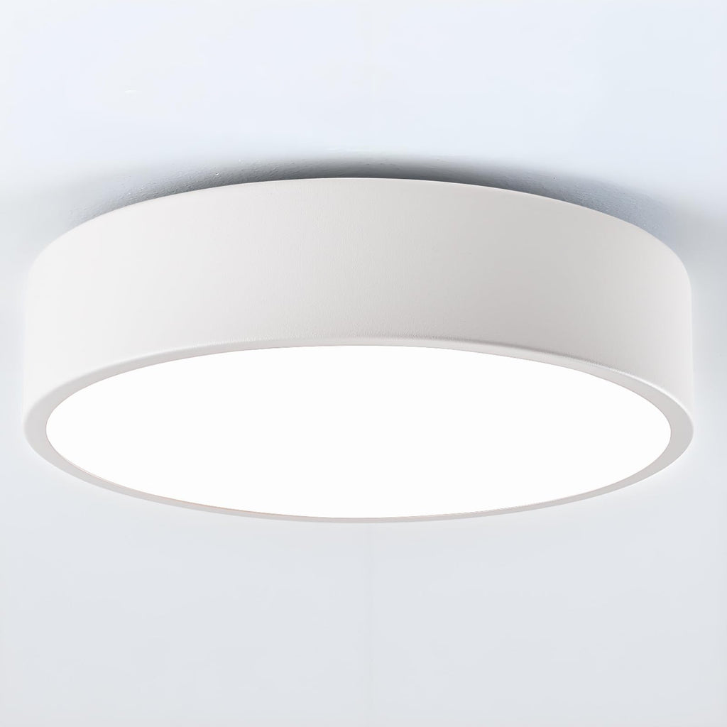 Modern Black Flush Mount Ceiling Light, 2-Lights Round Ceiling Light, Minimalistic Ceiling Lamp Acrylic Shade Lighting Fixture for Bedroom Laundry Room Bathroom Hallway(11.8 Inch)