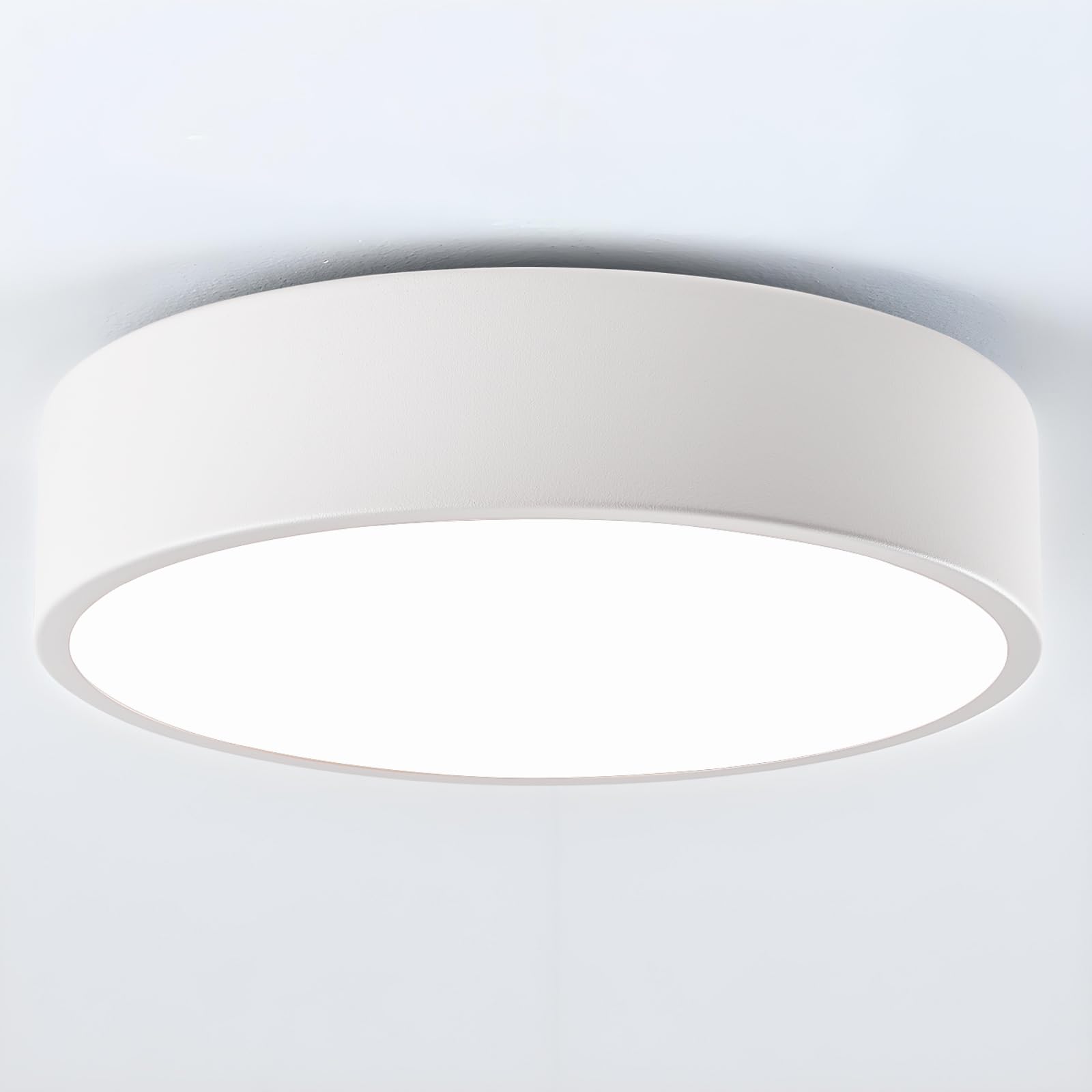 Modern Black Flush Mount Ceiling Light, 2-Lights Round Ceiling Light, Minimalistic Ceiling Lamp Acrylic Shade Lighting Fixture for Bedroom Laundry Room Bathroom Hallway(11.8 Inch)