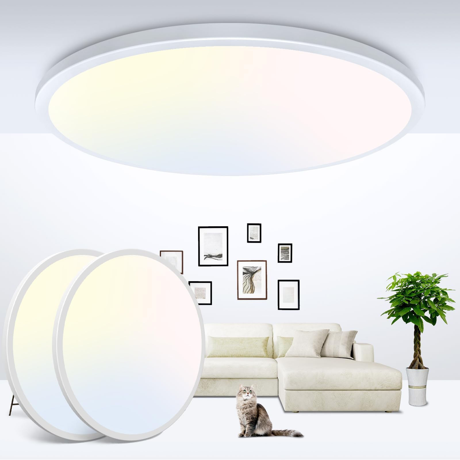 zemty 6Pack 12-Inch LED Flush Mount Ceiling Lights, 24W 3200Lumens 5 CCT Adjustable (3000K-6500K), Round Bright Light Fixture for Bedroom Kitchen Bathroom Hallway Closet(White)