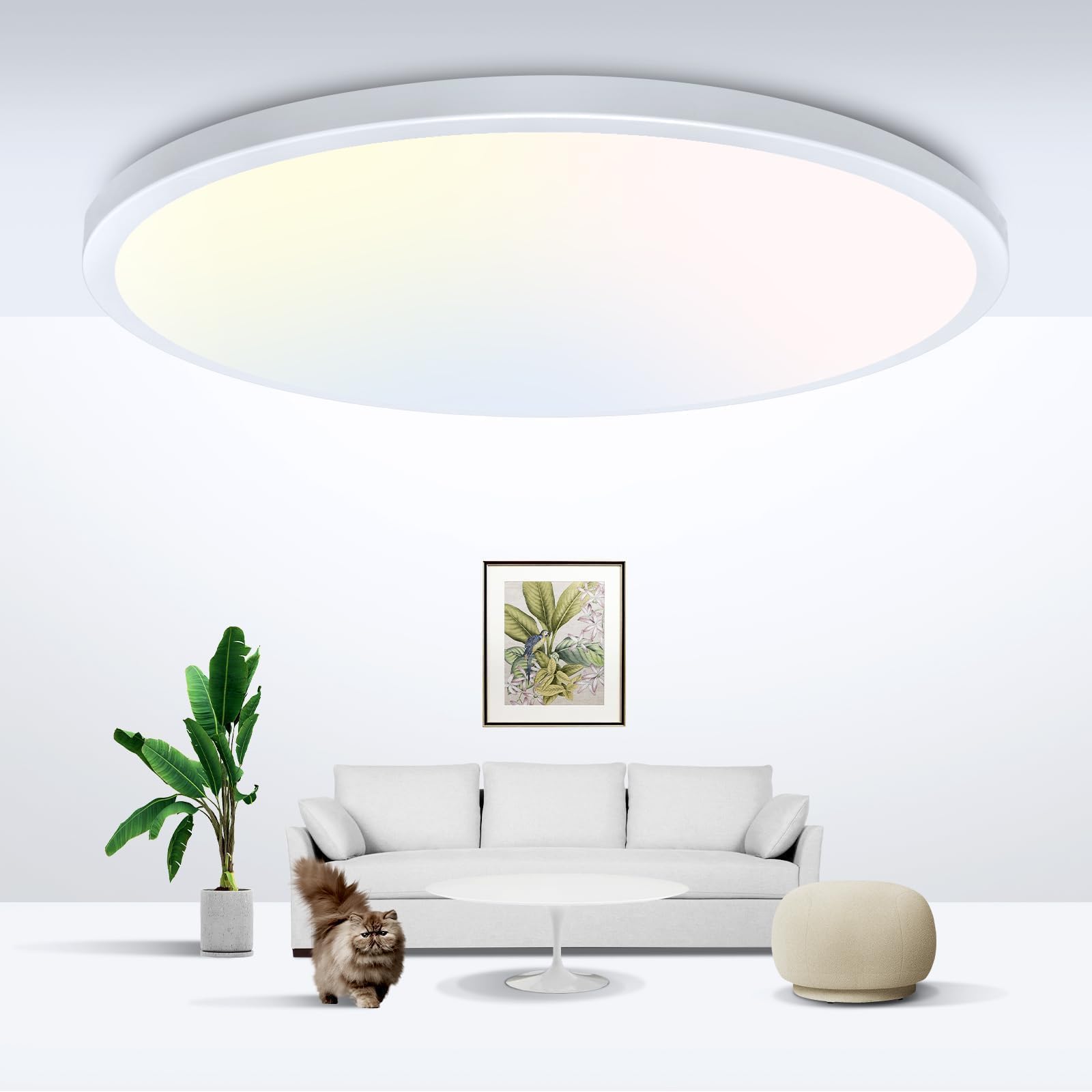 zemty 6Pack 12-Inch LED Flush Mount Ceiling Lights, 24W 3200Lumens 5 CCT Adjustable (3000K-6500K), Round Bright Light Fixture for Bedroom Kitchen Bathroom Hallway Closet(White)
