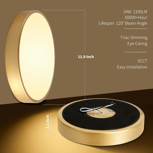 12 Inch Gold Dimmable LED Flush Mount Ceiling Light 24W 5CCT for Bedroom Kitchen Hallway
