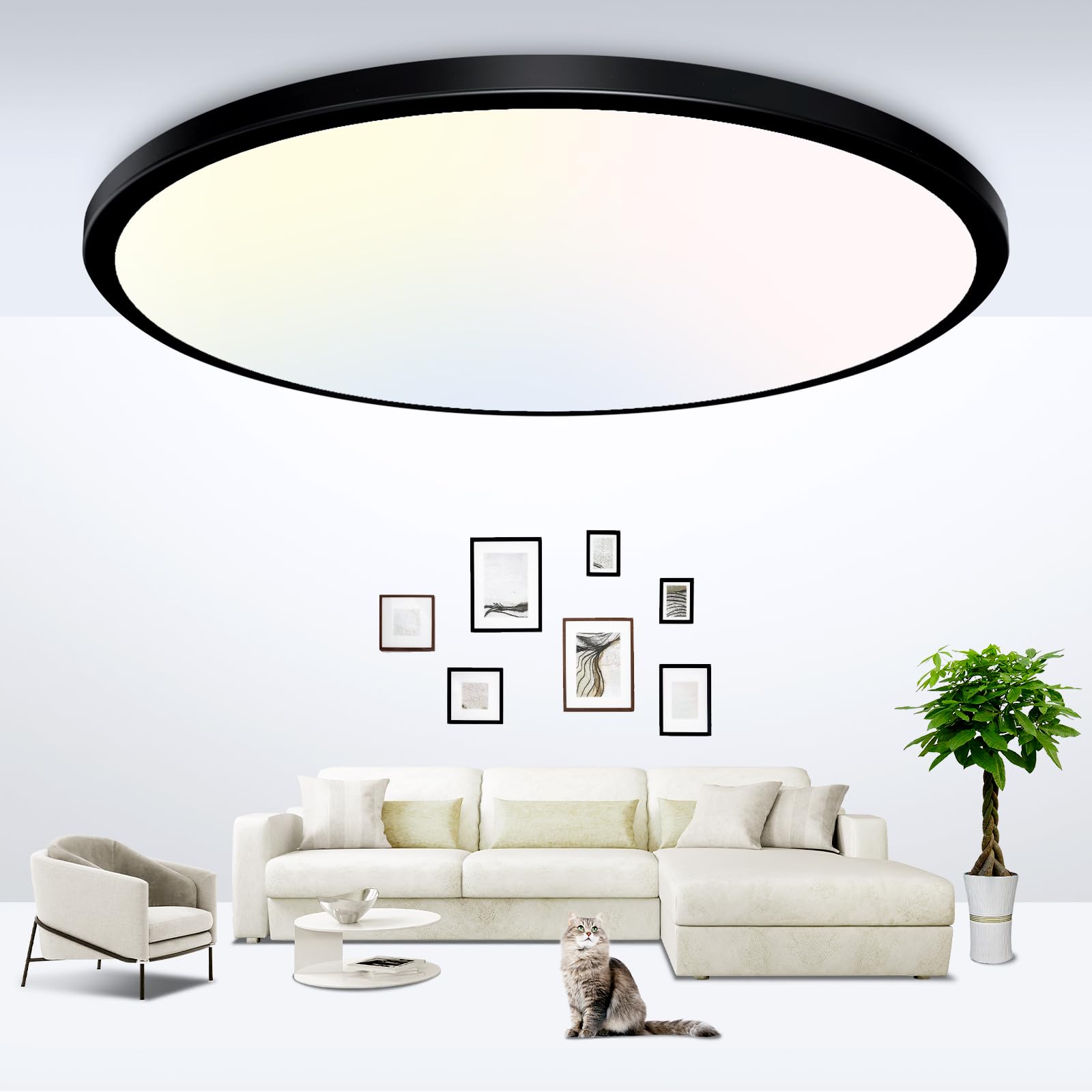 zemty 6Pack 12-Inch LED Flush Mount Ceiling Lights, 24W 3200Lumens 5 CCT Adjustable (3000K-6500K), Round Bright Light Fixture for Bedroom Kitchen Bathroom Hallway Closet(White)