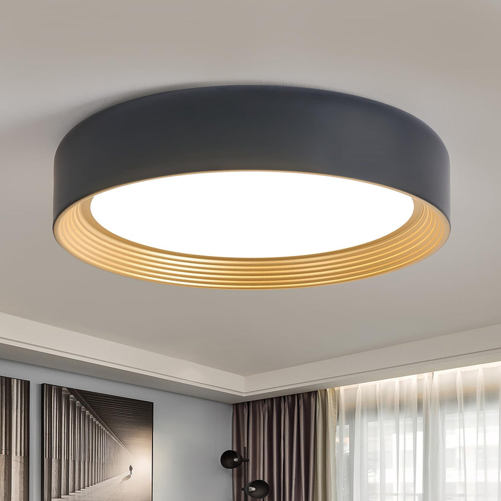 Dimmable Flush Mount Ceiling Light White,24W LED Ceiling Light Fixture,3000K-6500K 5CCT Round 11.81 in Modern Lighting Fixtures for Laundry Room Hallway Kitchen