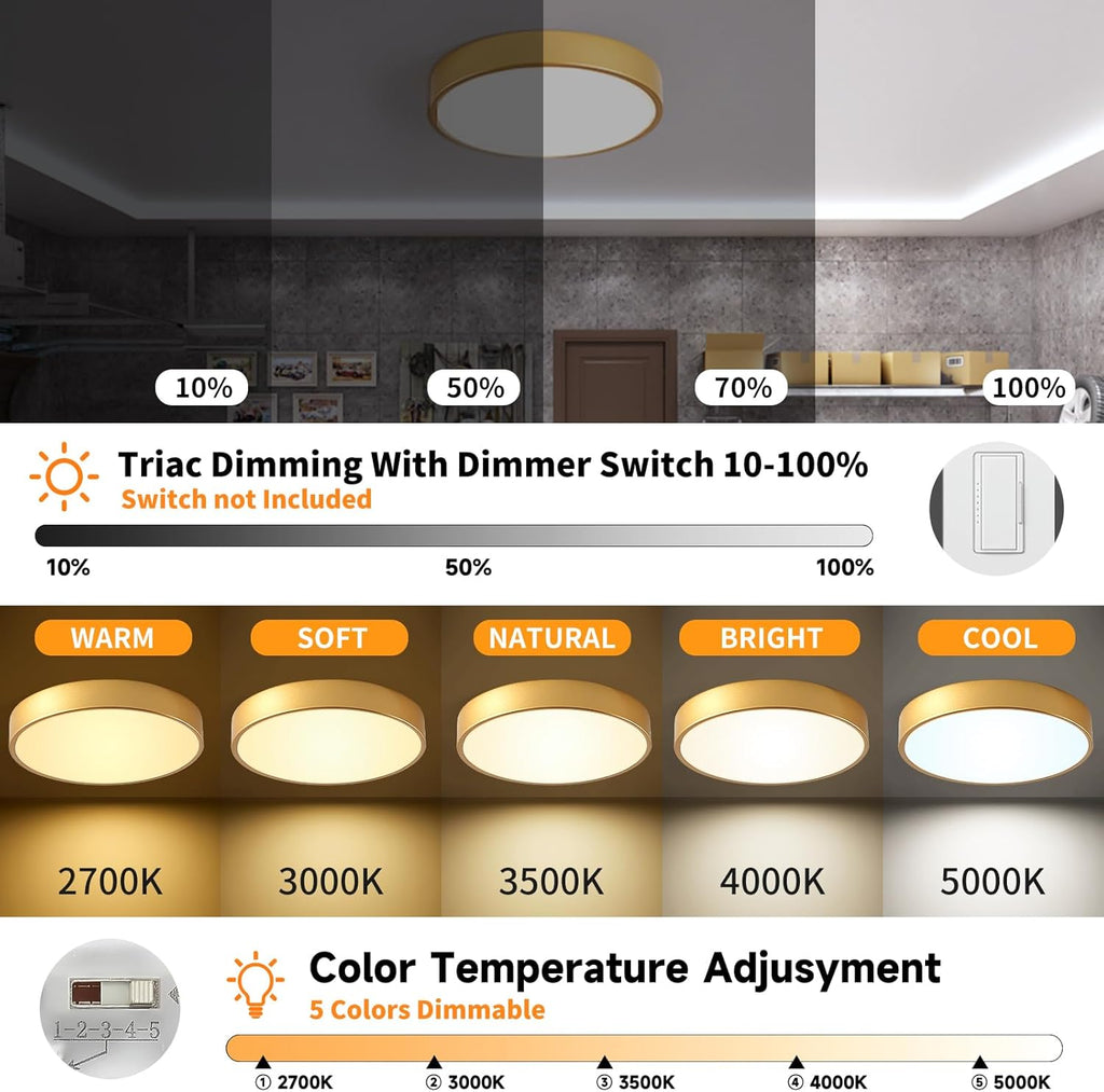 12 Inch Gold Dimmable LED Flush Mount Ceiling Light 24W 5CCT for Bedroom Kitchen Hallway